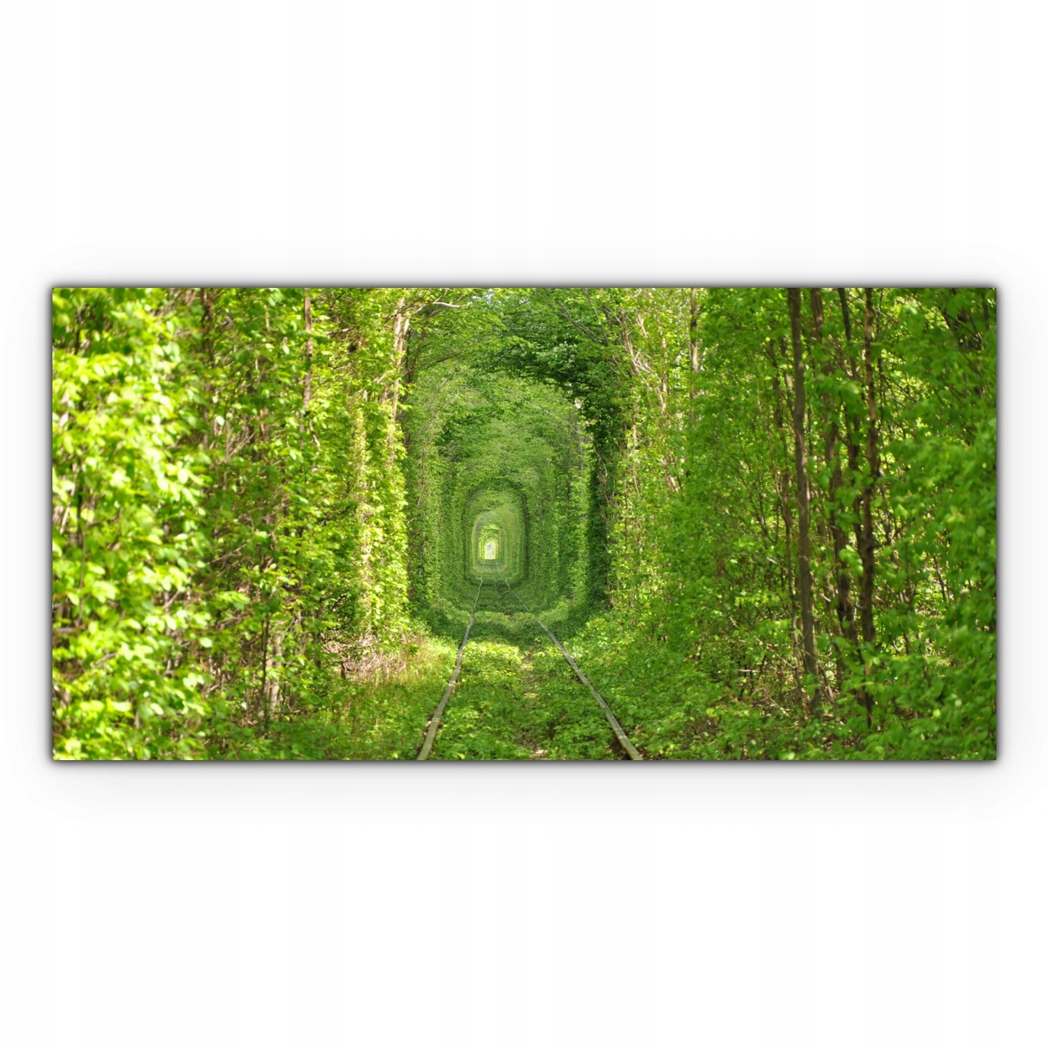 

Canvas na ramie na ścianę 120x60 Tunel Tory Pociąg