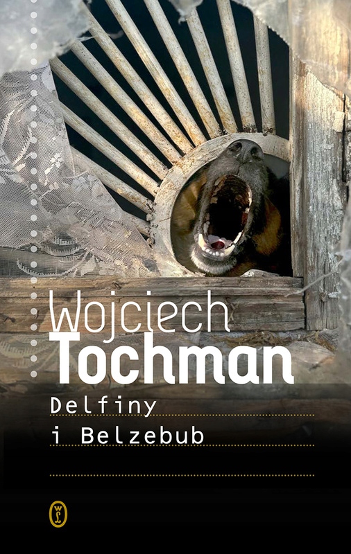 Delfiny i Belzebub Wojciech Tochman twarda Wydawnictwo Literackie