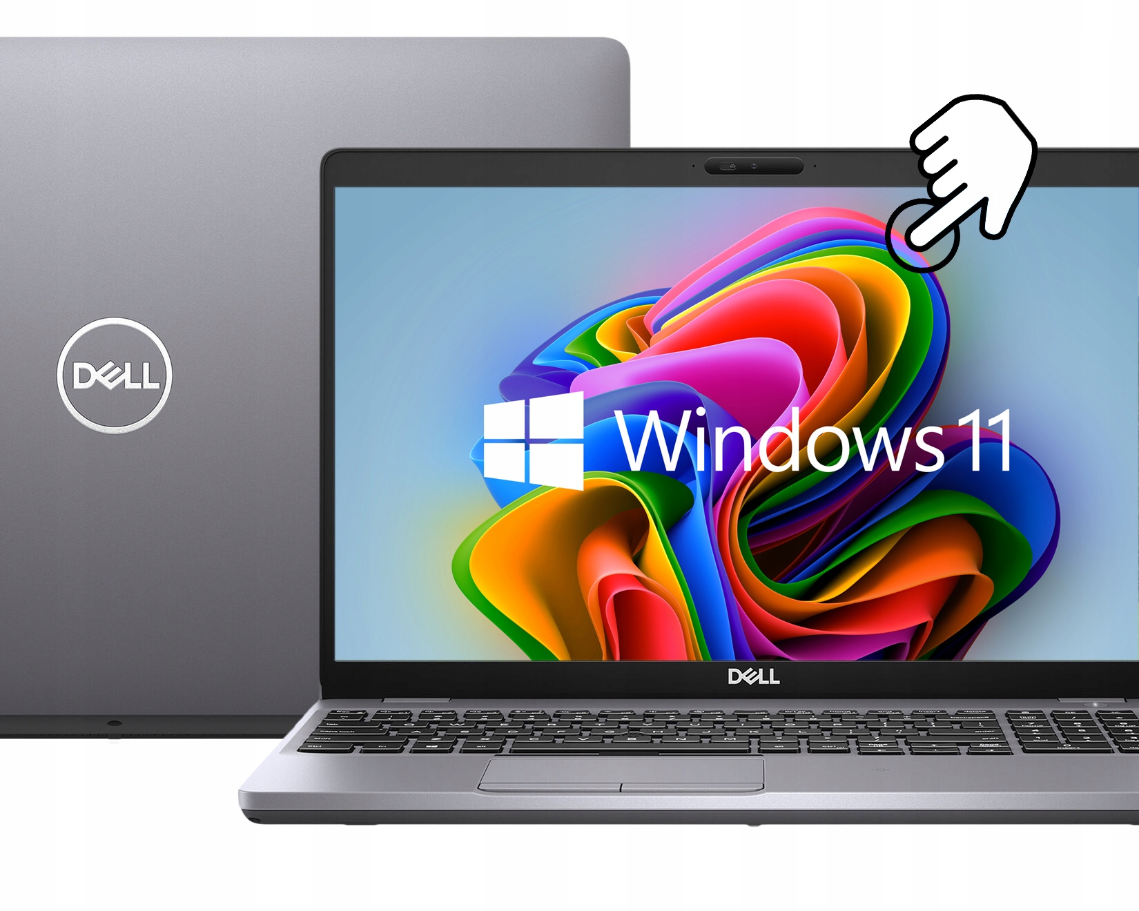 40dd7c9c446b805bec5d568d4552