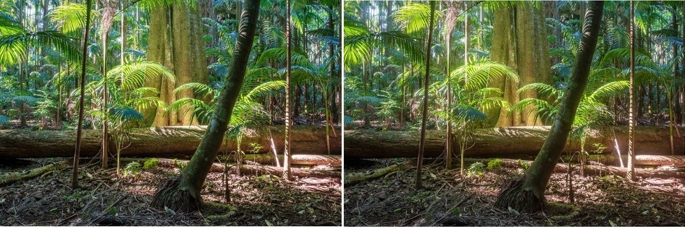 HOYA MIST DIFFUSER BK NO 0.5 72mm Model Mist Diffuser BK No 0.5