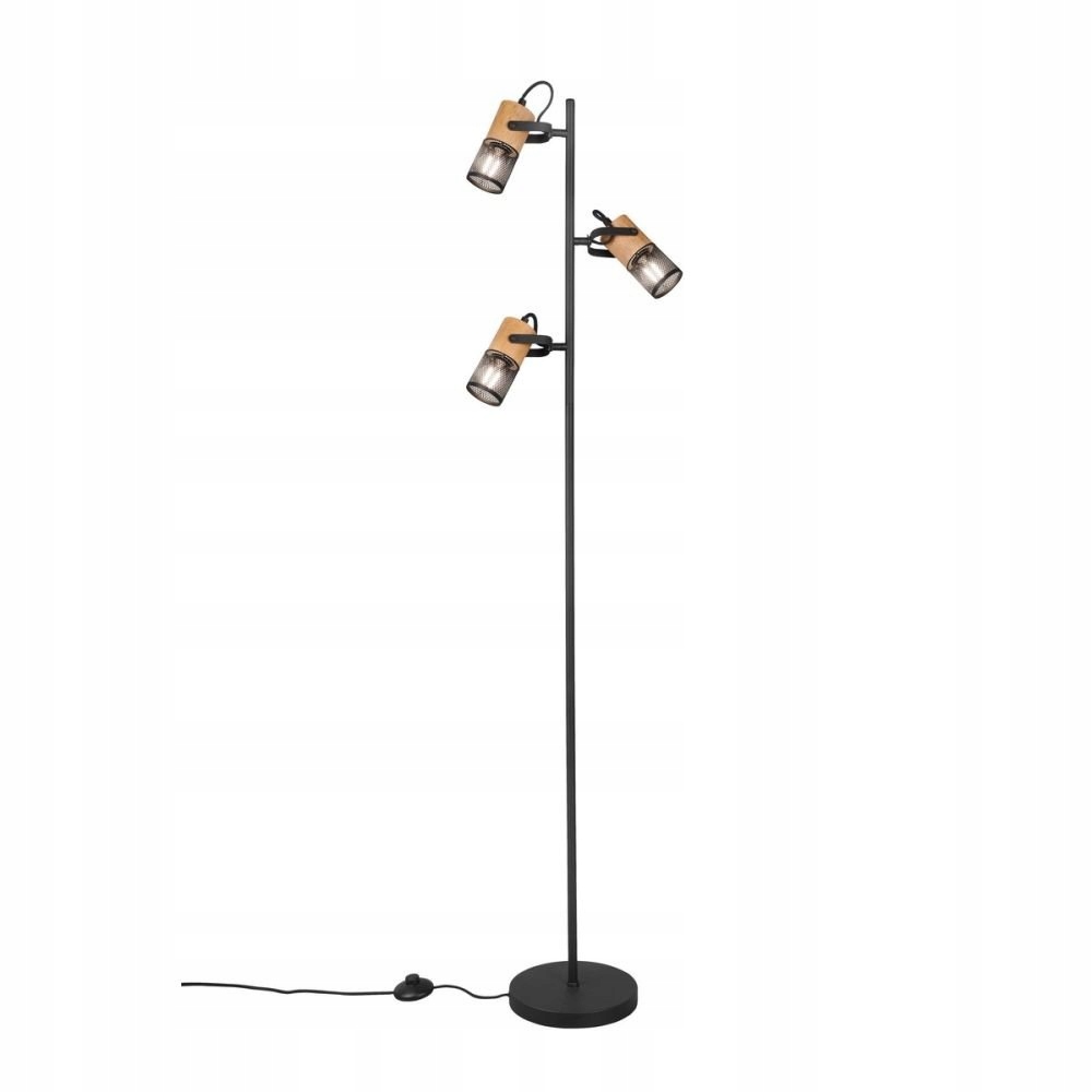 Podlahová lampa Trio Tosh 404300332