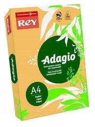 

Papier ksero kolorowy A4 80g 500ark dyniowy