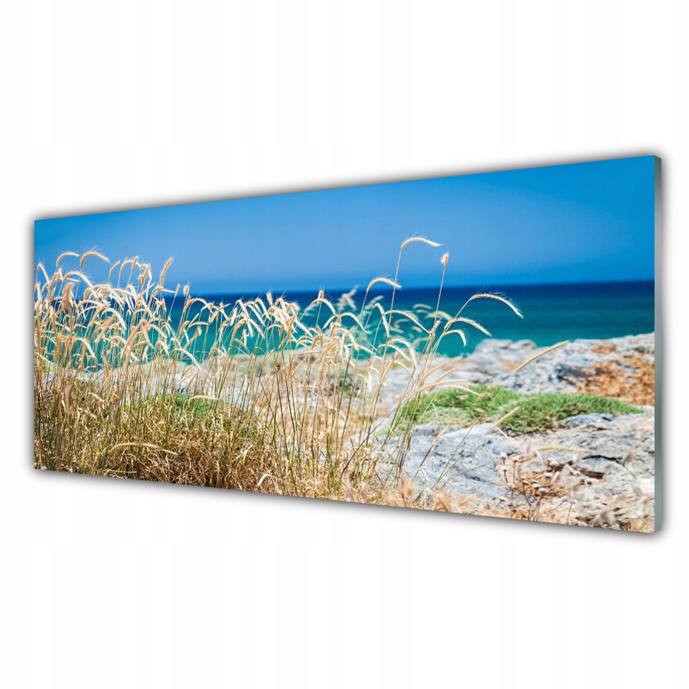Moderní akrylový obraz 125x50 Pláž Krajina