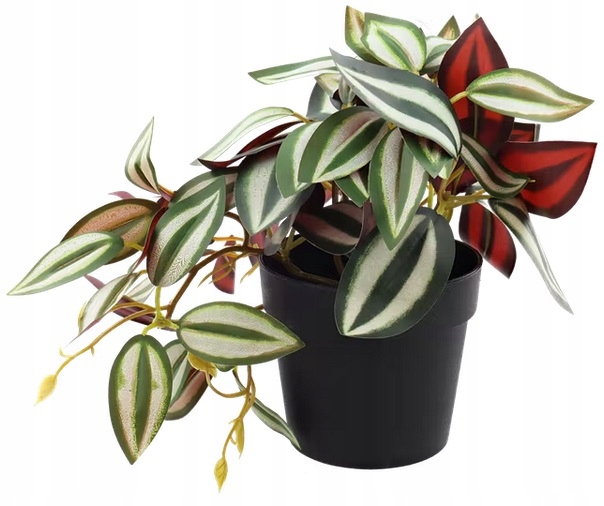 

Sztuczna Roślina Sztuczny Kwiat Trzykrotka