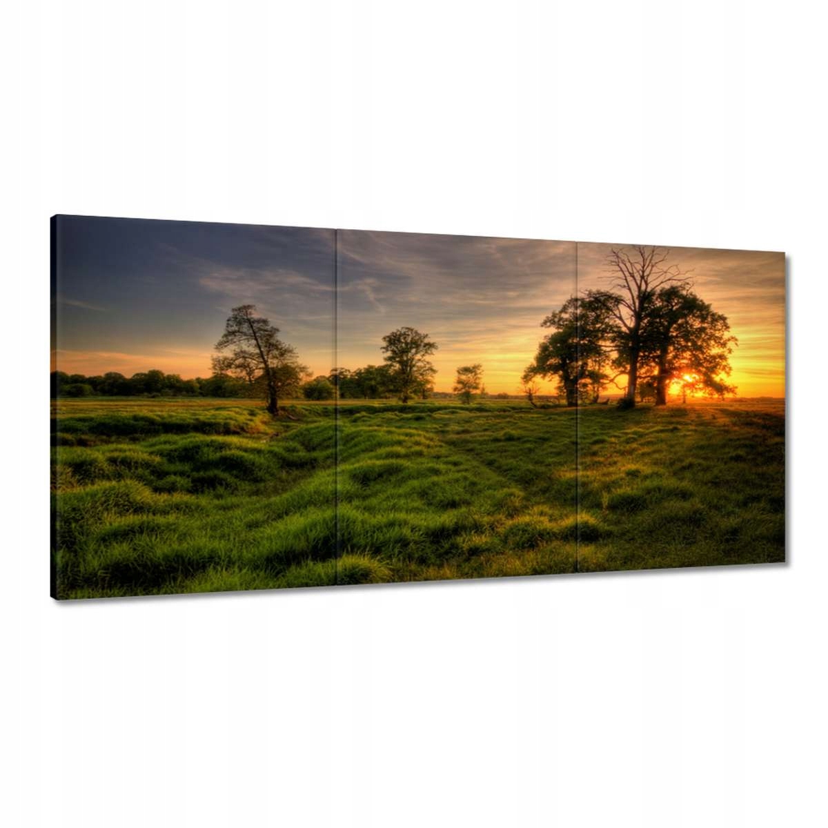 Obrazy 120x60 Západ slunce v Rogalině
