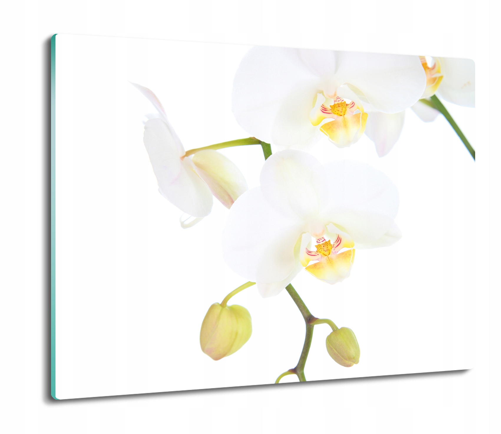 Kuchyňská deska Vál z tvrzeného skla 60x52 Orchidej