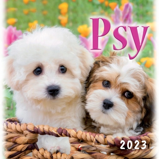 

Kalendarz Ścienny 2023 Psy pieski psiaki 33x33