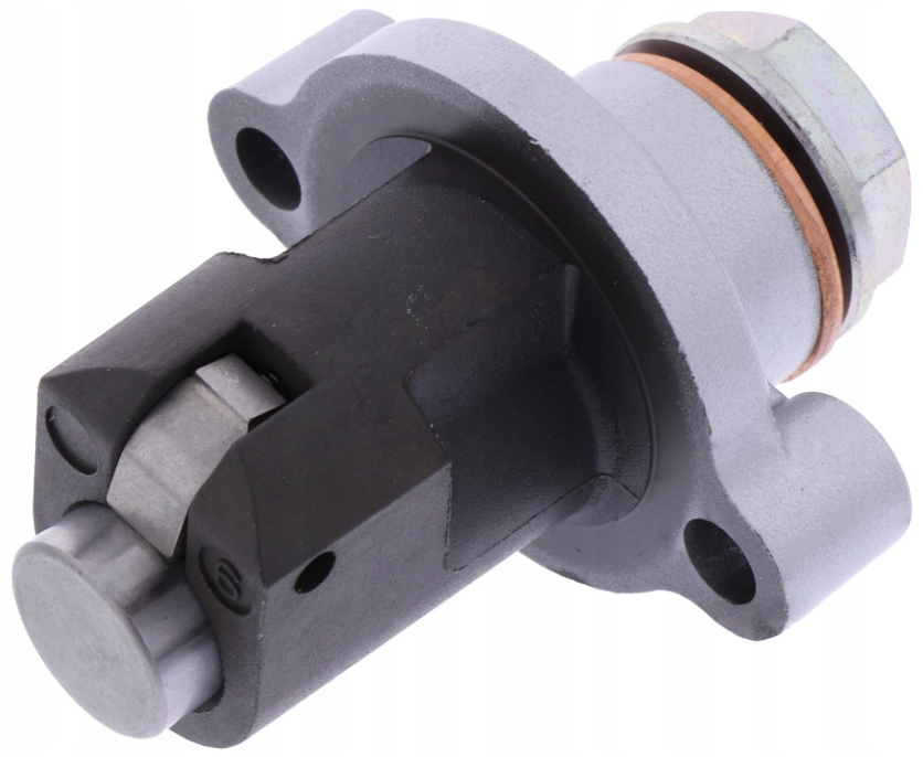 741.09.48 - Направляющая цепи Triumph Trophy 900 92-01