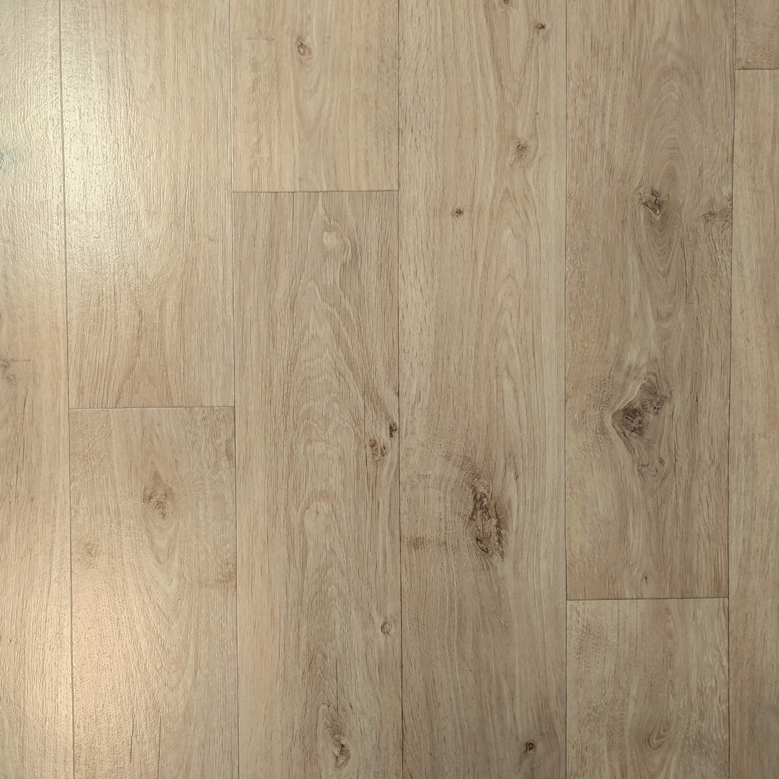 Wykładzina PCV Maxima EKO 591-01 Linoleum 2,5m