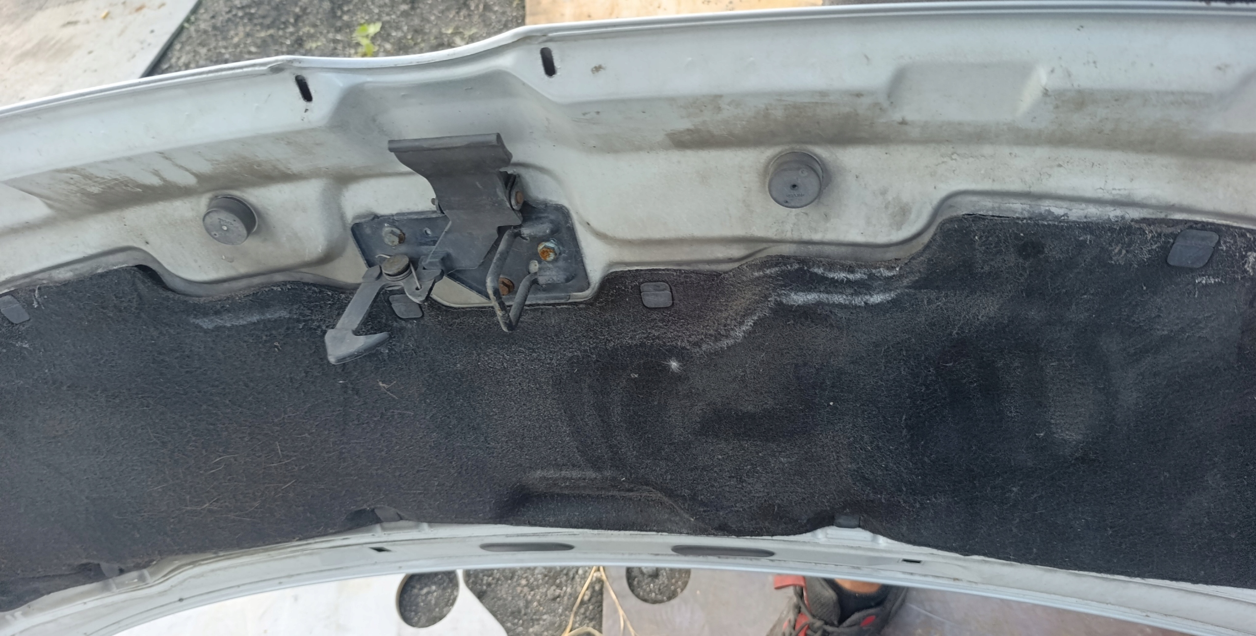 VW T5 kapota srebrna