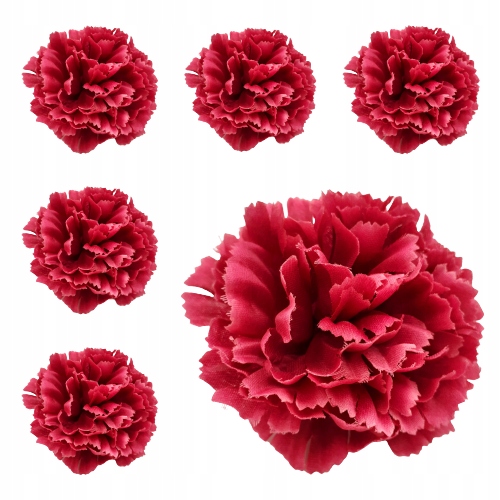 

Goździk Główka wyrobowa sztuczny Jak Żywy DUŻY6szt