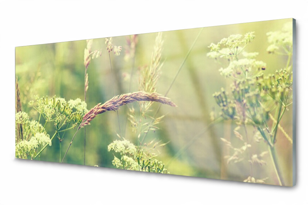 

Panel szklany do kuchni Dzikie Rośliny 125x50
