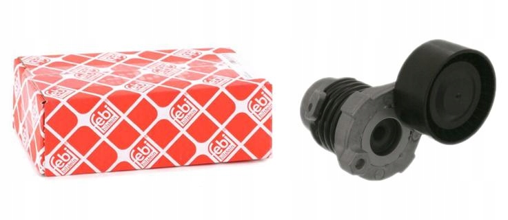 100294 - НАТЯЖИТЕЛЬ РЕМНЯ RENAULT KANGOO EXPRESS FW01 1.2 TCE