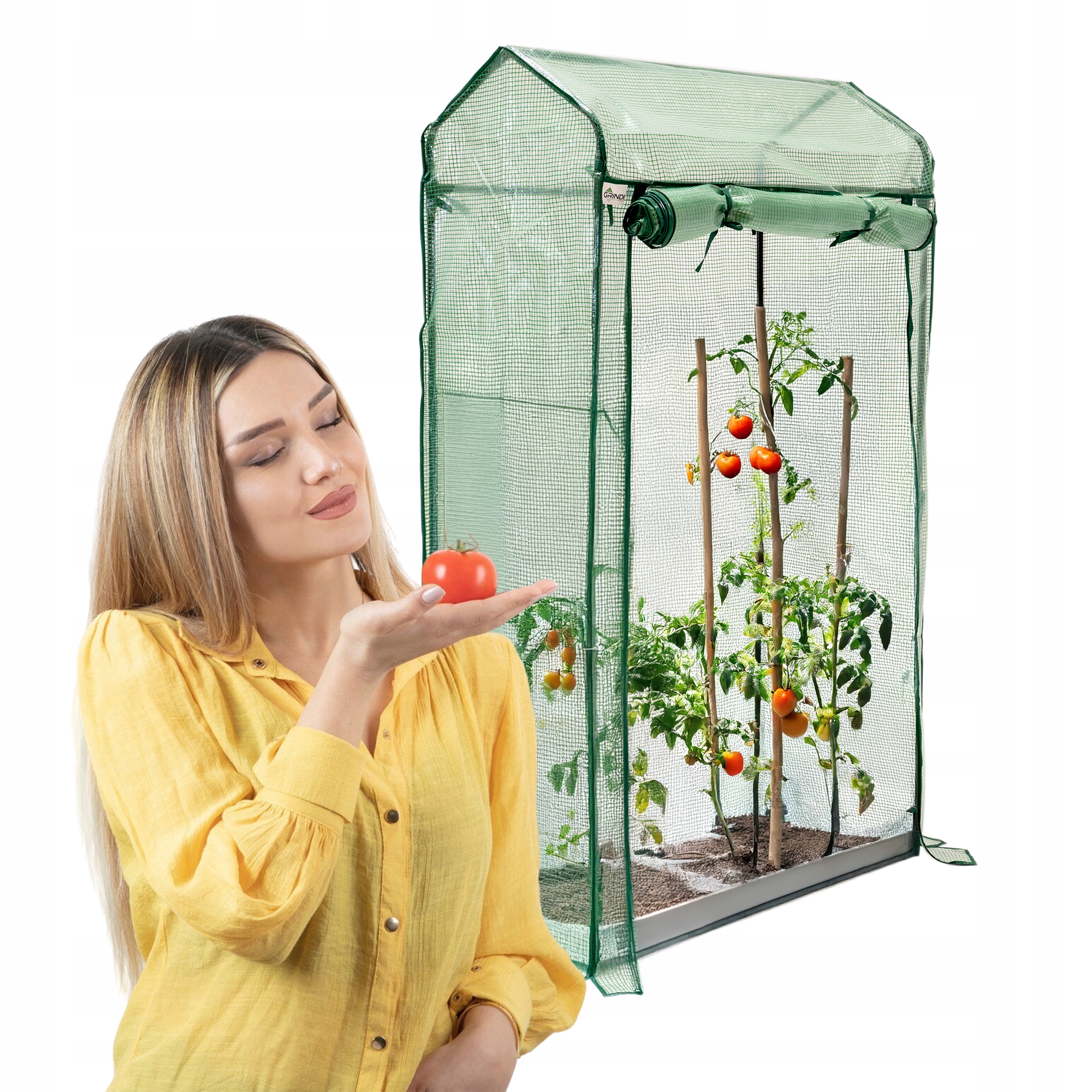 Mini zahradní skleník na rajčata balkon zelený Aster IV 100x50x170