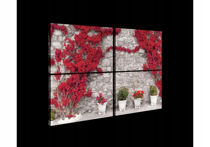 Obraz 120x80 Červené květy kamenná zeď léto poledne slunce příroda