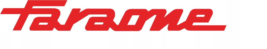 FARAONE PROFESJONALNA DRABINA SDOMUS 13CM STOPNIE Marka Faraone