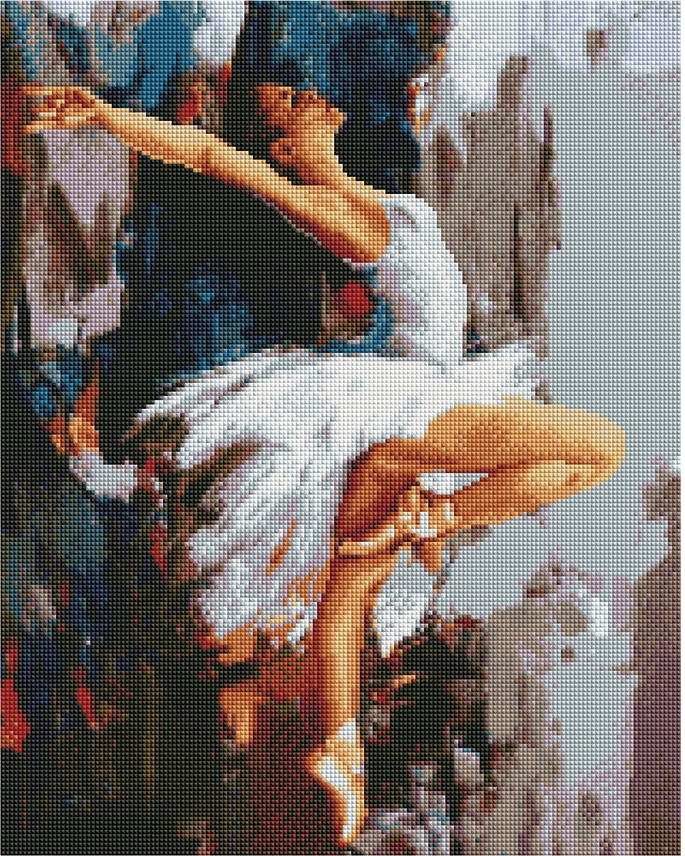 Diamantová mozaika na plátně 40x50 Ipicasso