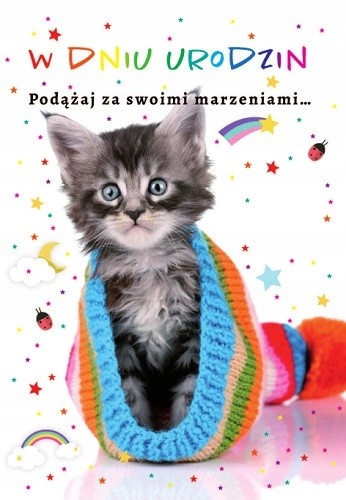 

Kartki z kotkiem z życzeniami zabawne urocze TS9
