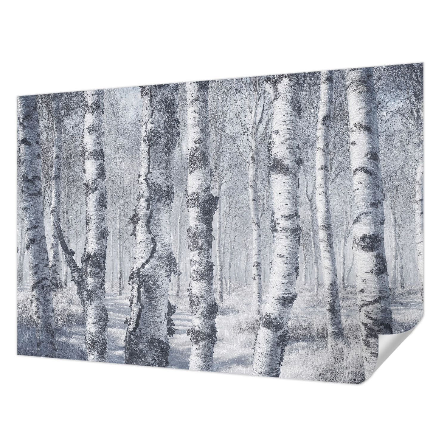 Fototapeta Samolepicí Trvalá dekorace domu Mrazivá příroda 152x104 cm