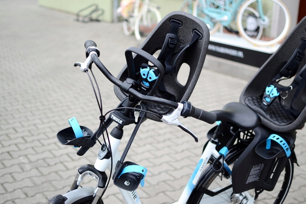 Thule Yepp Nexxt Mini Fotelik Rowerowy Przedni EAN (GTIN) 091021988408