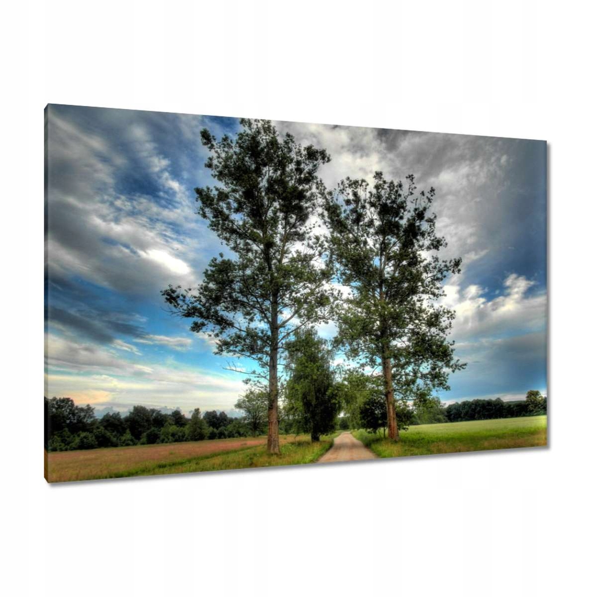 Obrazy 120x80 Venkovská cesta