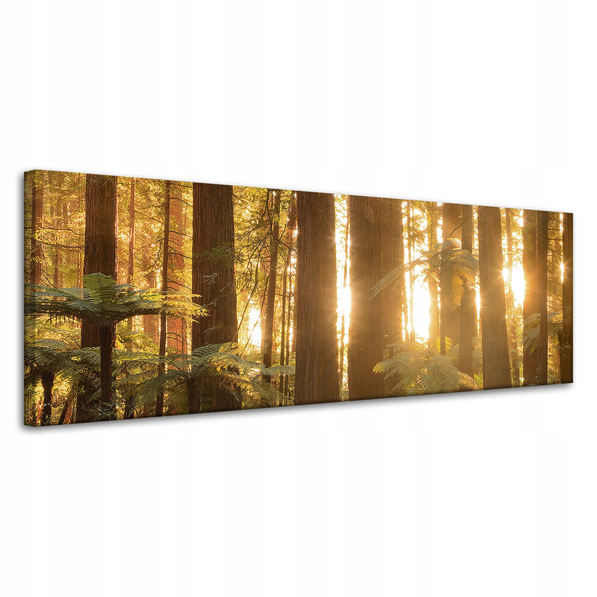 Obraz na plátně Sluneční paprsky Les Stromy 120x40 cm Ideální jako dárek