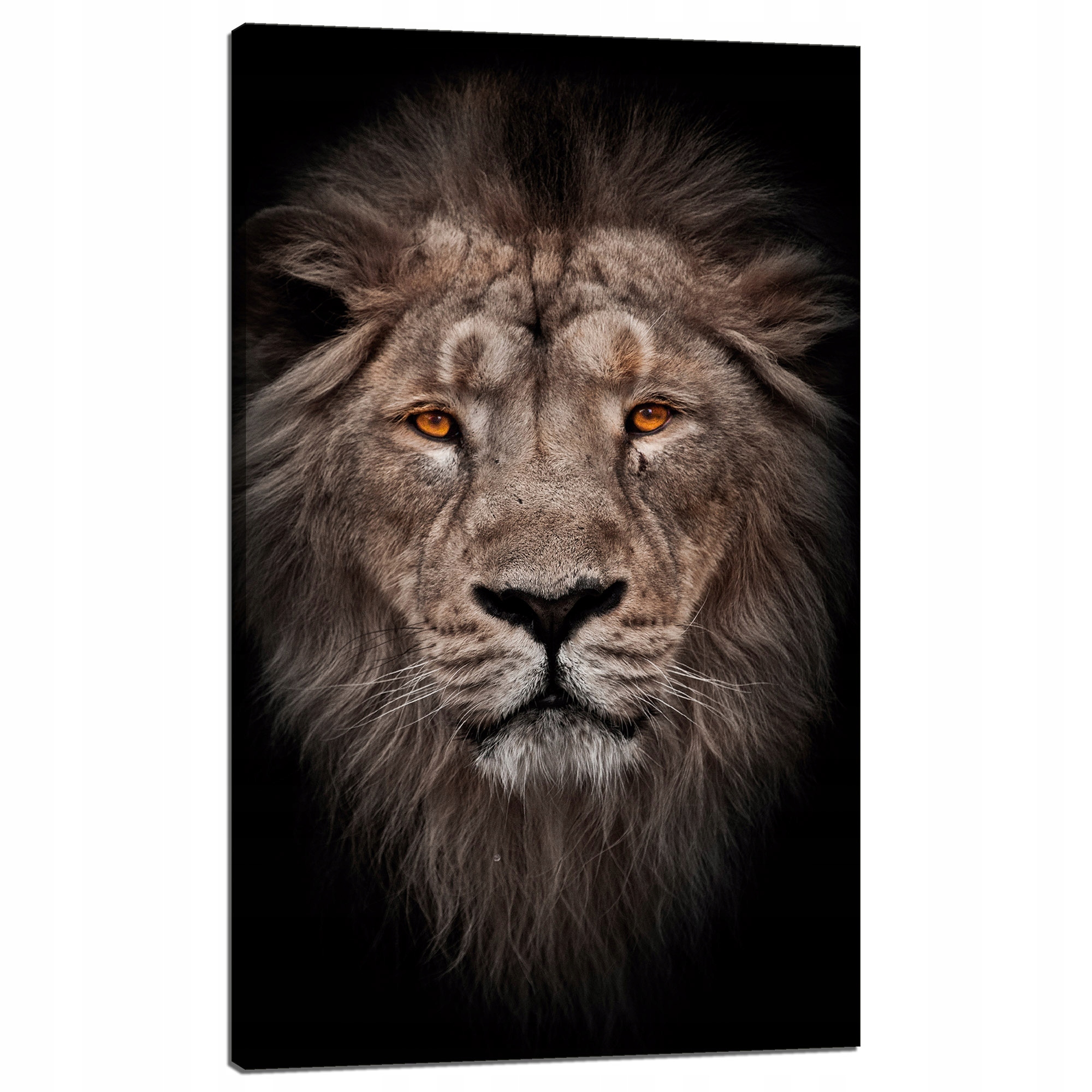 Obraz na plátně Tvář lva Červené oči Divočina 60x100 cm