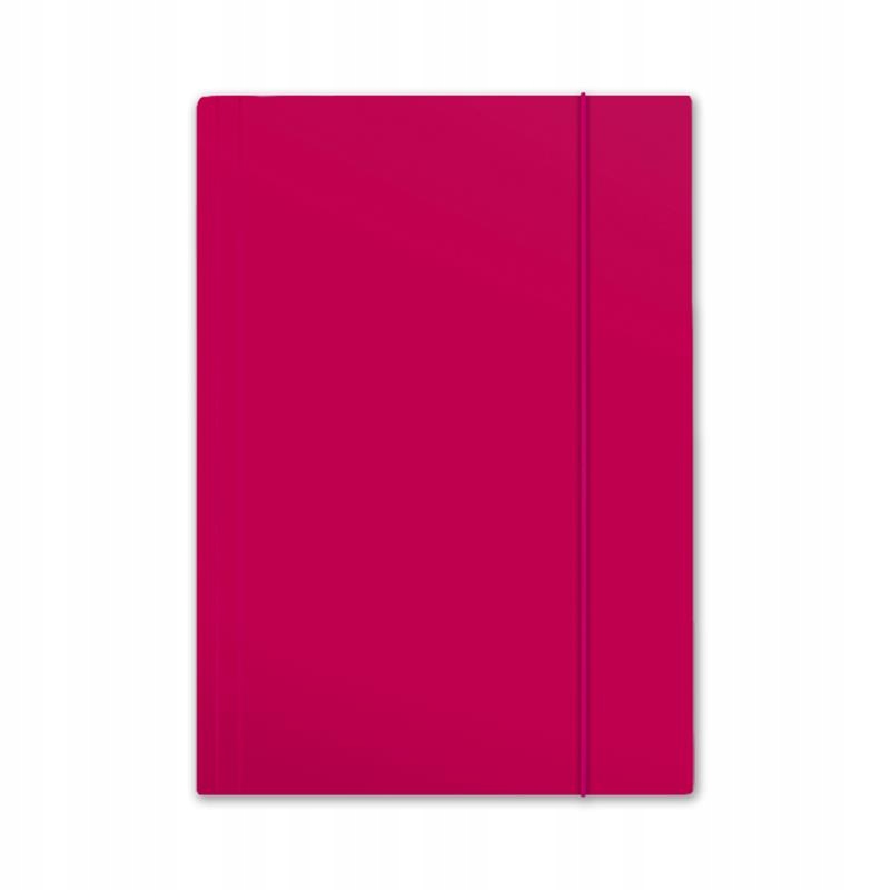 TECZKA Z GUMKĄ A4 PLUS TOP RÓŻOWA EAN (GTIN) 5906910810140