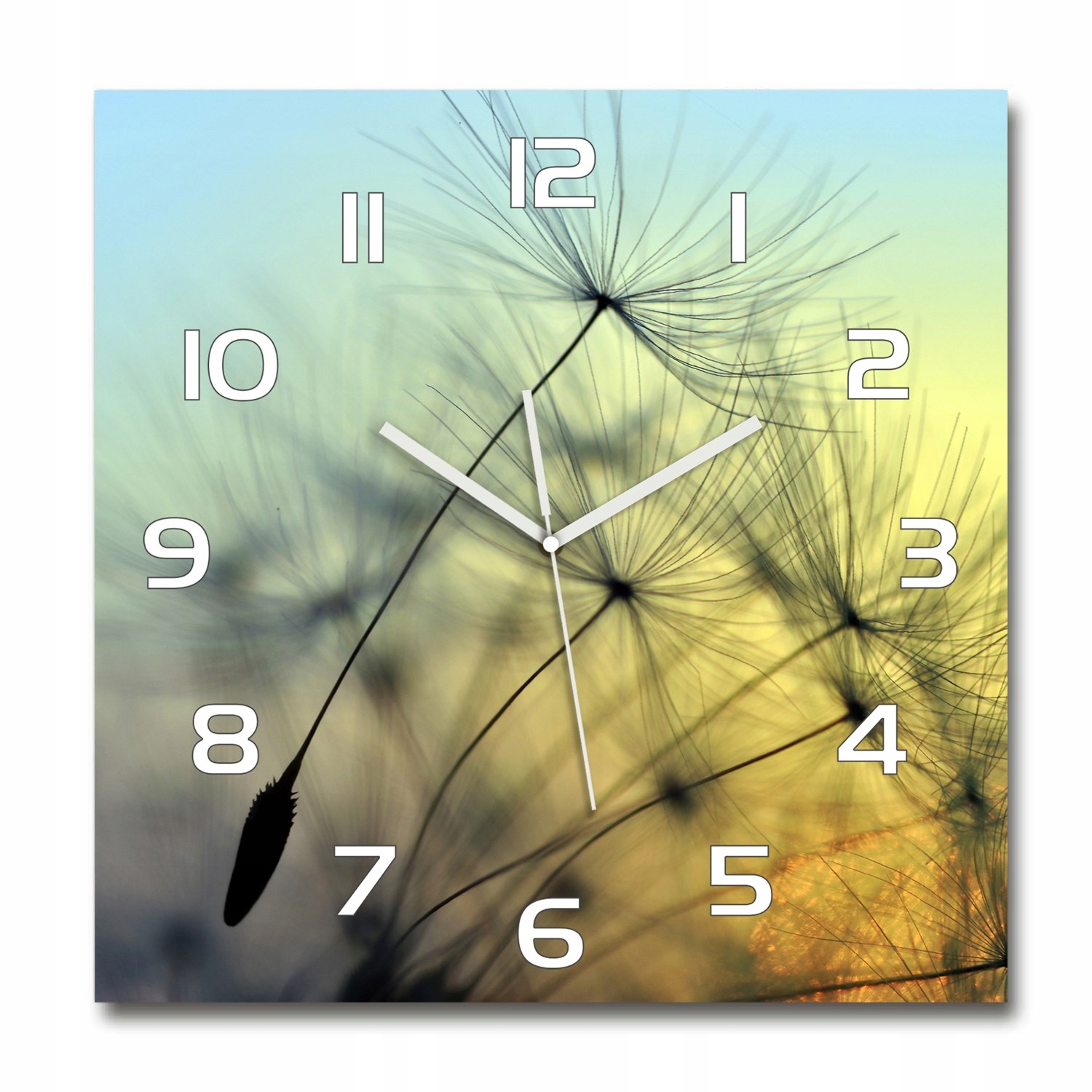 

Nowoczesny szklany zegar Nasiona dmuchawca 60x60cm