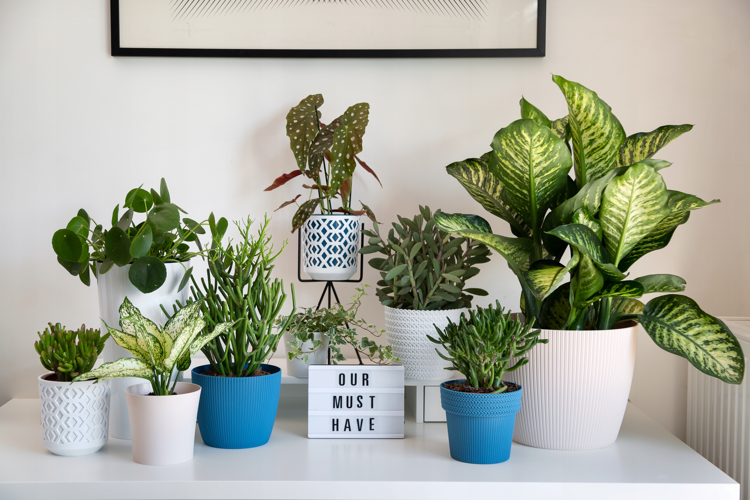 Donica Osłonka MAGNOLIA JUMPER śr. 19cm kol. MUSZTARDOWY Średnica 19 cm