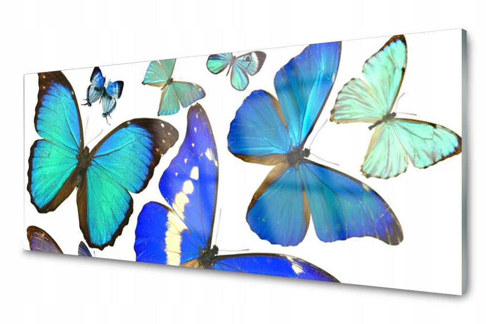 Sklenený panel do kuchyne Motýle 125x50