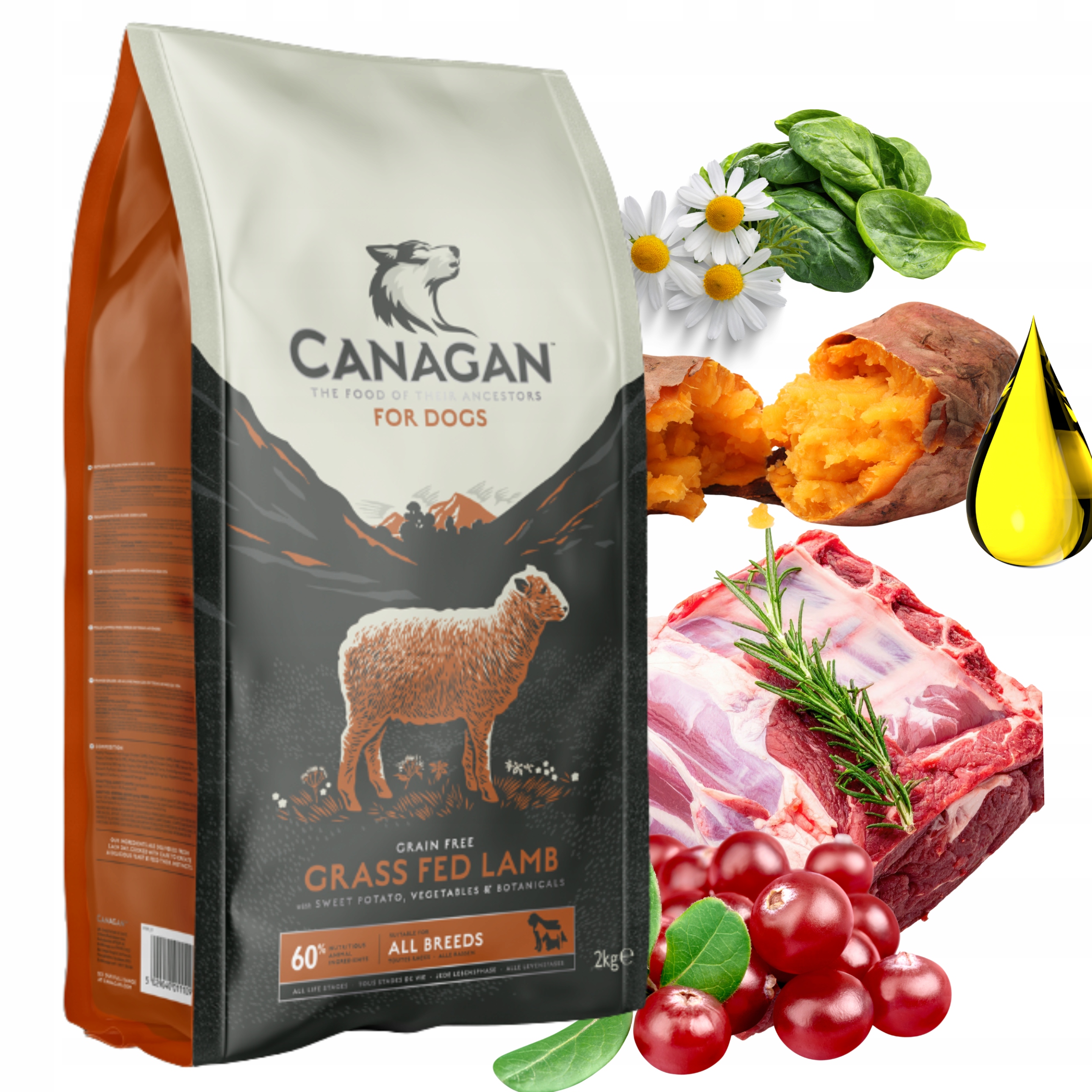 Canagan Grass Fed Lamb Karma dla Psa Bezzbożowa Jagnięcina 6KG
