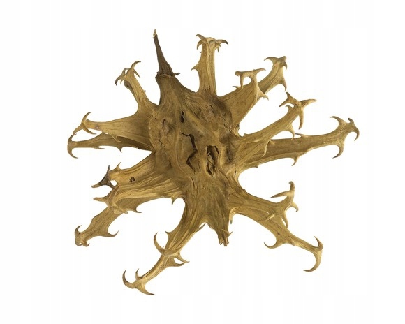 Equiherbs Czarci Pazur – supersuplement przeciwzapalny dla koni horse 1 kg