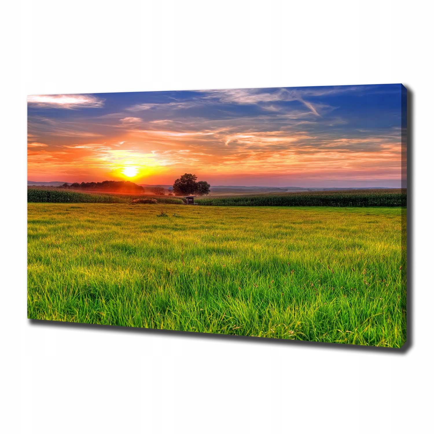 

Foto obraz na płótnie Zachód słońca łąka 100x70 cm