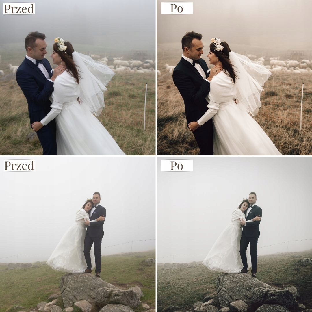Lightroom Presety Filtry Sesja Ślubna - 10 sztuk Producent Adobe