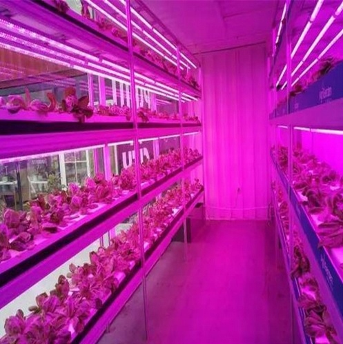 ZESTAW LED GROW DO REGAŁU IP65 ROŚLINY 4X120 CM Maksymalna moc 480 W