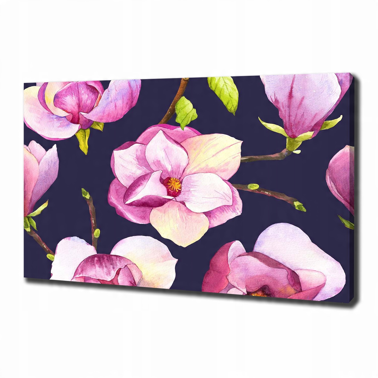 

Foto obraz canvas na ścianę Magnolia 100x70 cm
