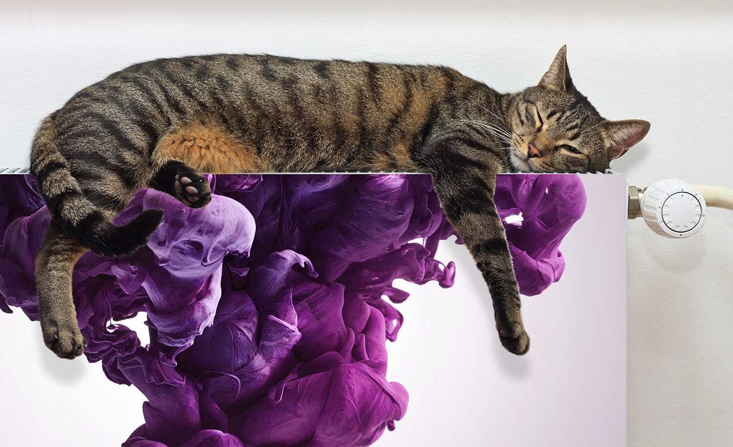 MAGNES OSŁONA MAGNETYCZNA NA KALORYFER 120x60 ART FOTOTAPETA Rodzaj produkt gotowy