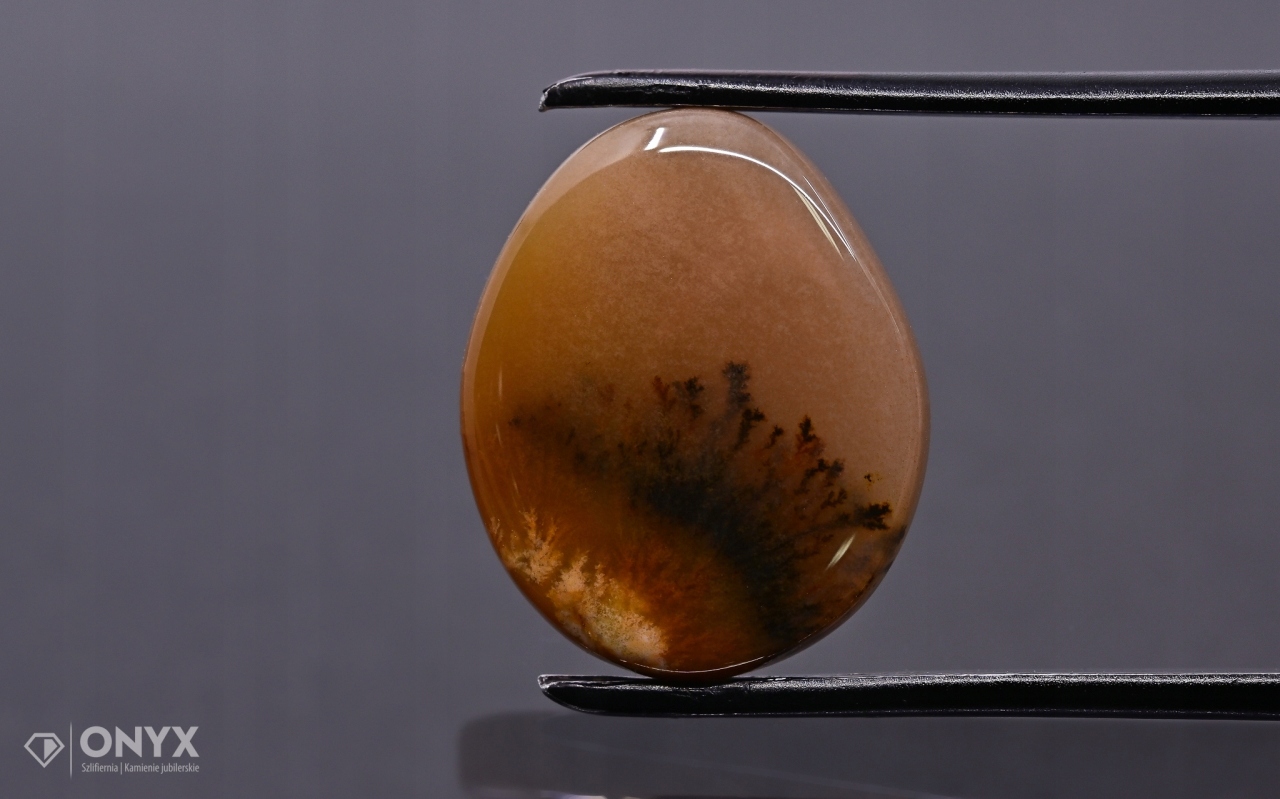 Dendritový achát z Kazachstánu nepravidelná destička