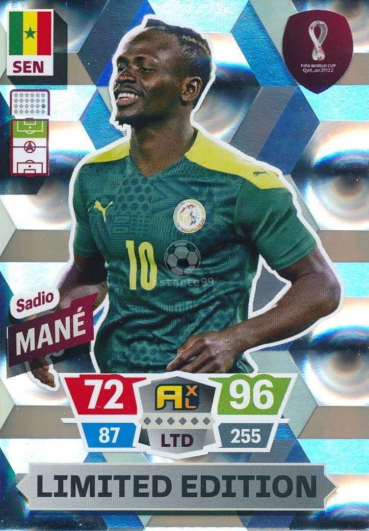 World Cup Qatar 2022 Limited Edition Mane