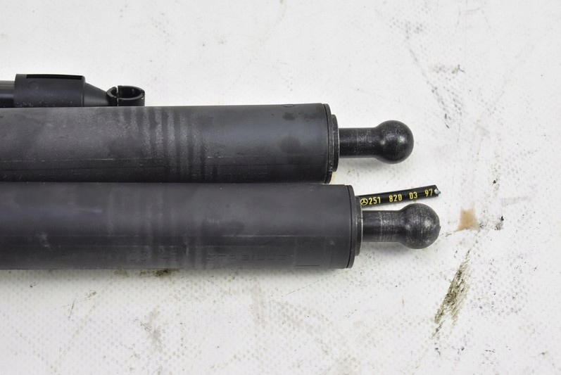 A2517400337 - Петля петли заслонки MERCEDES R-Class W251 06R