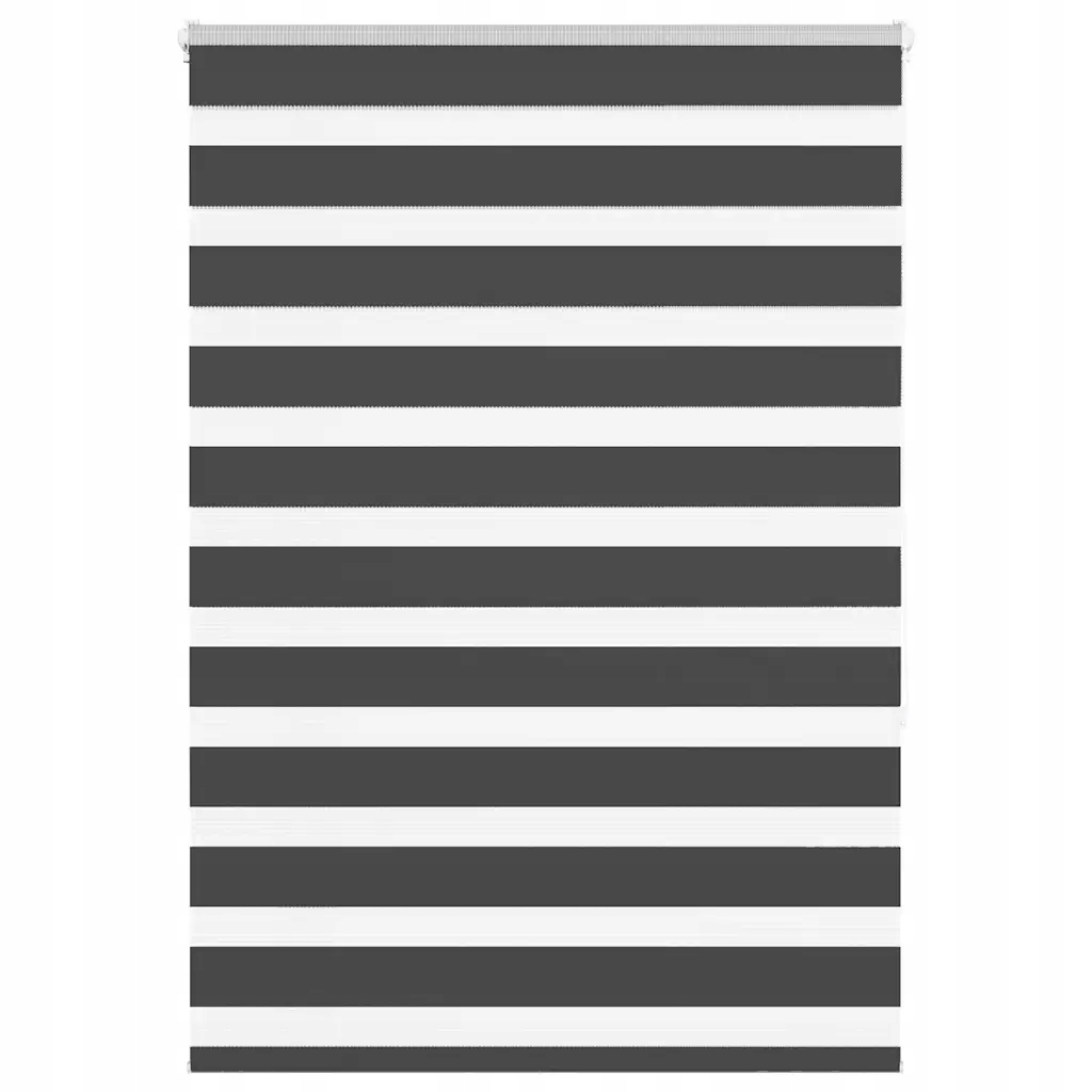 Zebra roleta černá 100x150 cm šířka látky 95,9 cm polyester Černý 4014235