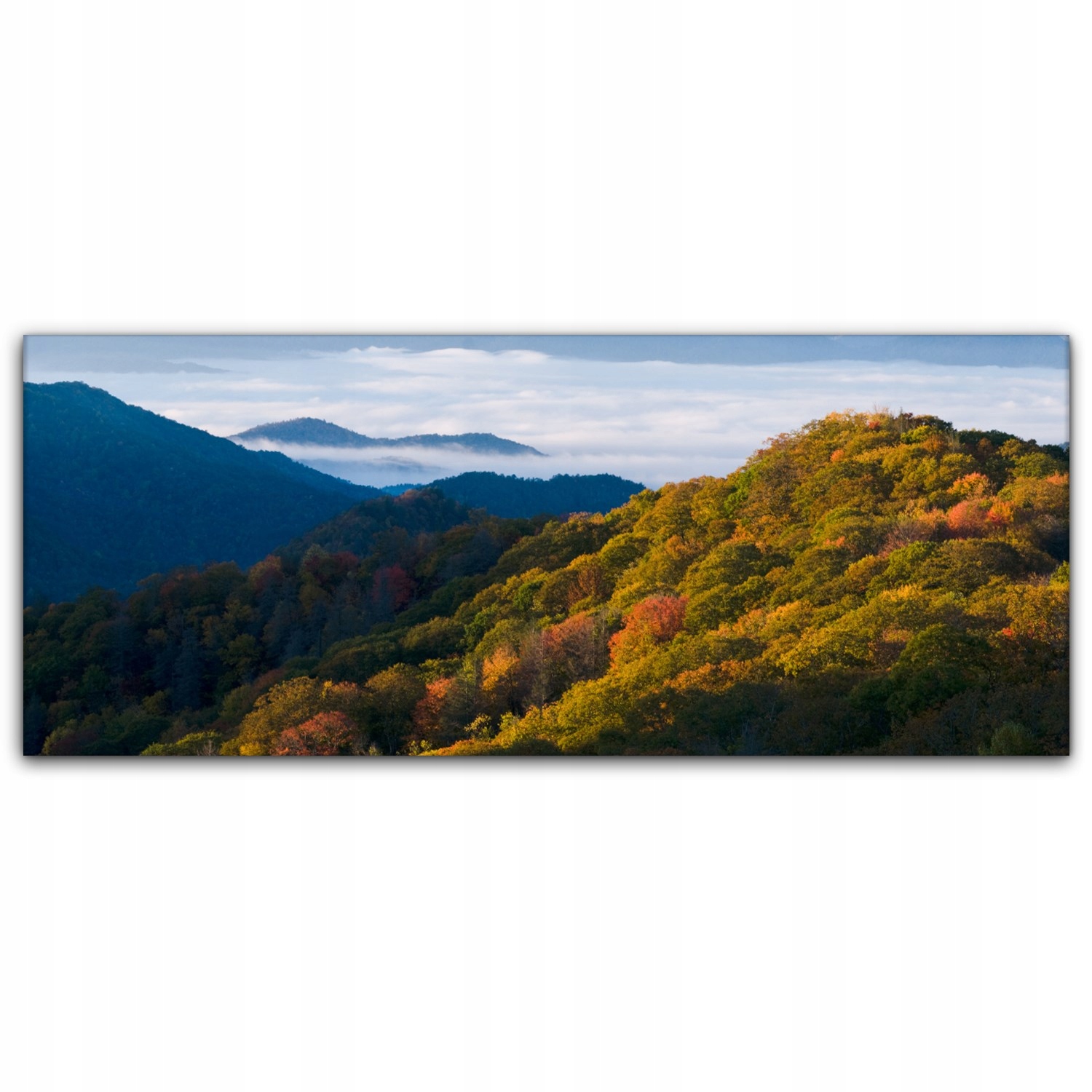 

Canvas na ramie ścienny 125x50 Góry Park Krajobraz