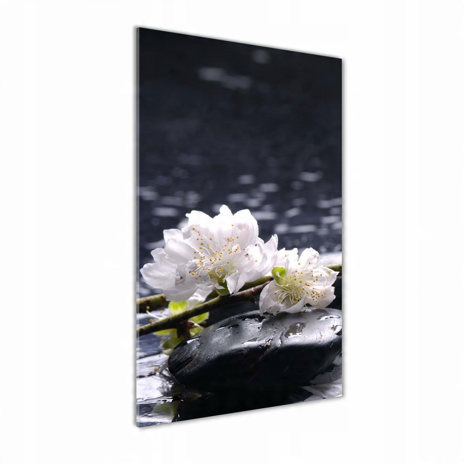 

Foto obraz akrylowy Kwiaty i kamienie 70x140 cm
