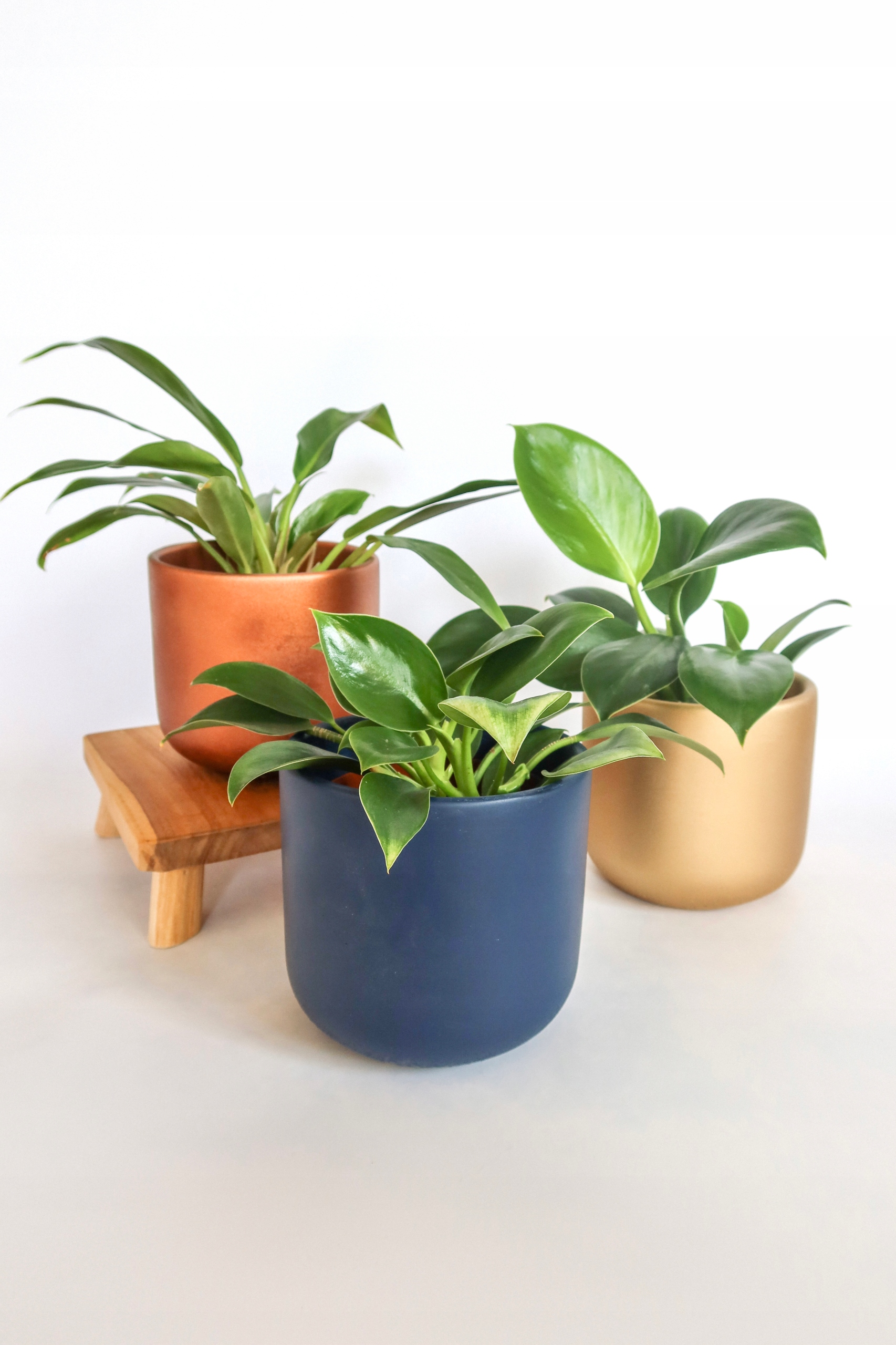 Doniczka betonowa 12cm czekoladowa lakierowana Marka inna