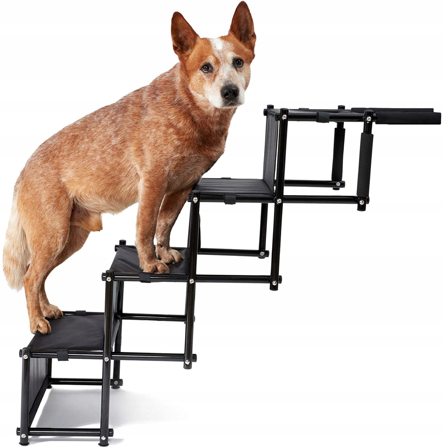 Schody dla psa drabinka rampa składana PiuPet 4 stopnie 76 cm max 80 kg