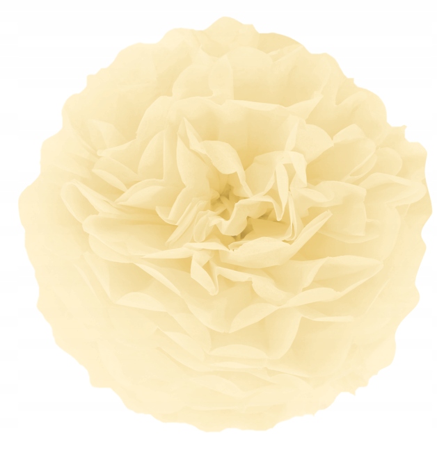 

Pompon z bibuły kremowa kula 15 cm na ślub