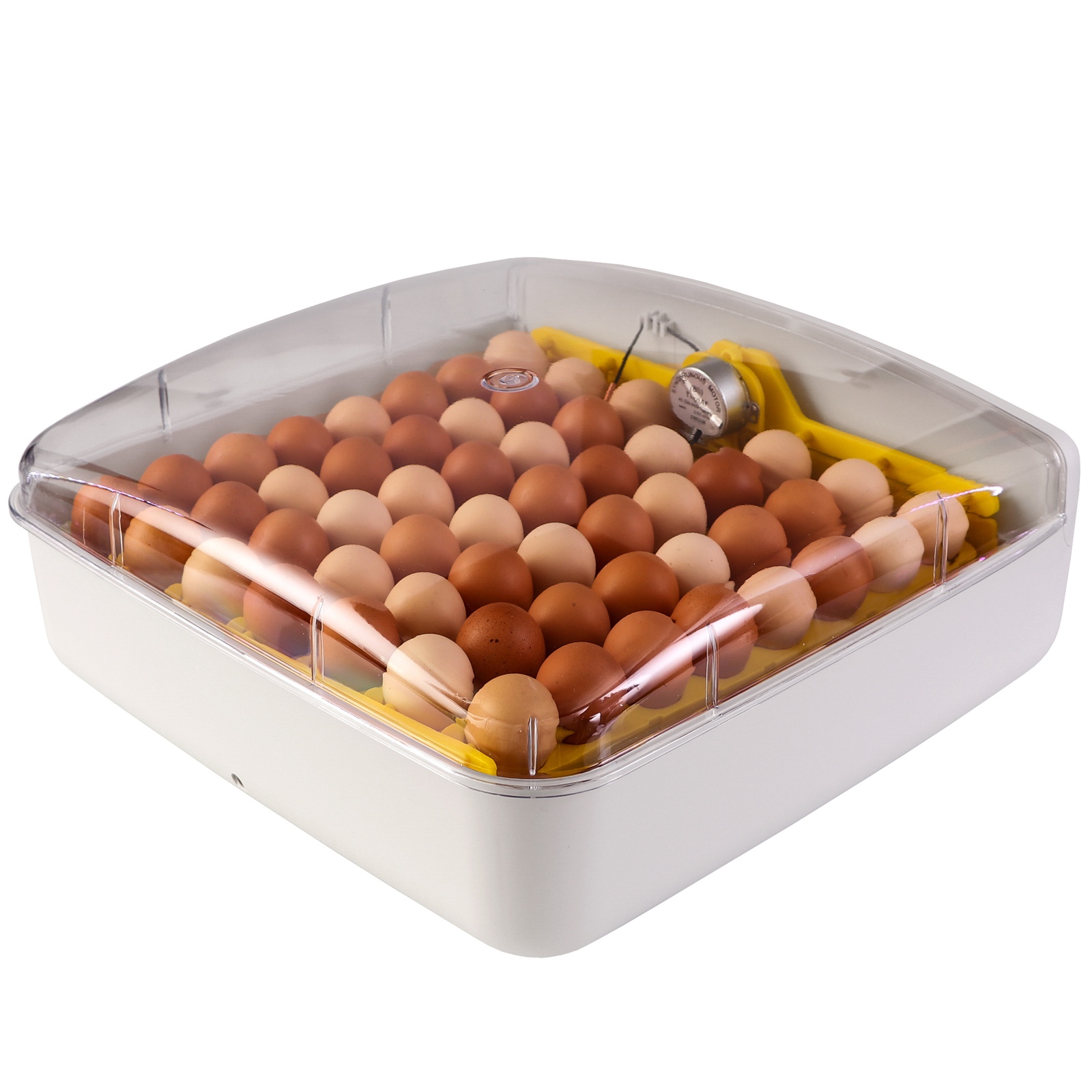 INKUBATOR KLUJNIK Z TERMOSTATEM NA 56 JAJ KURZE ZDROWE DUŻE CIEPŁE KURKI Stan opakowania oryginalne