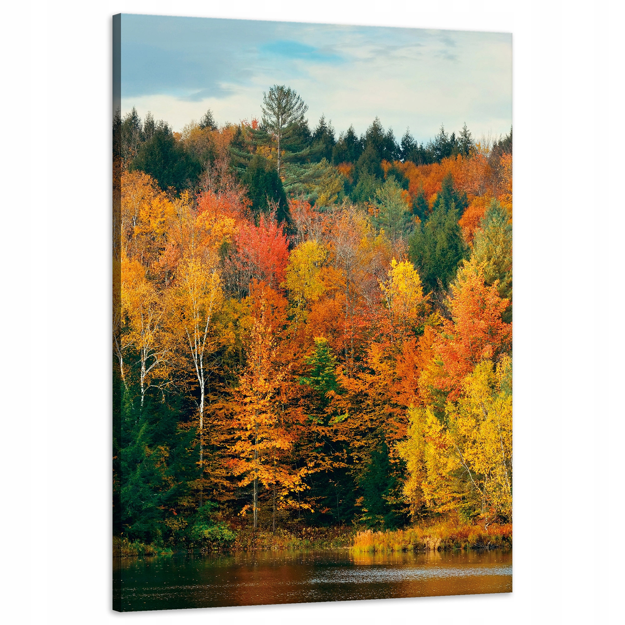 Obraz na plátně Barevné listy Stromy Podzim Příroda 60x90 cm