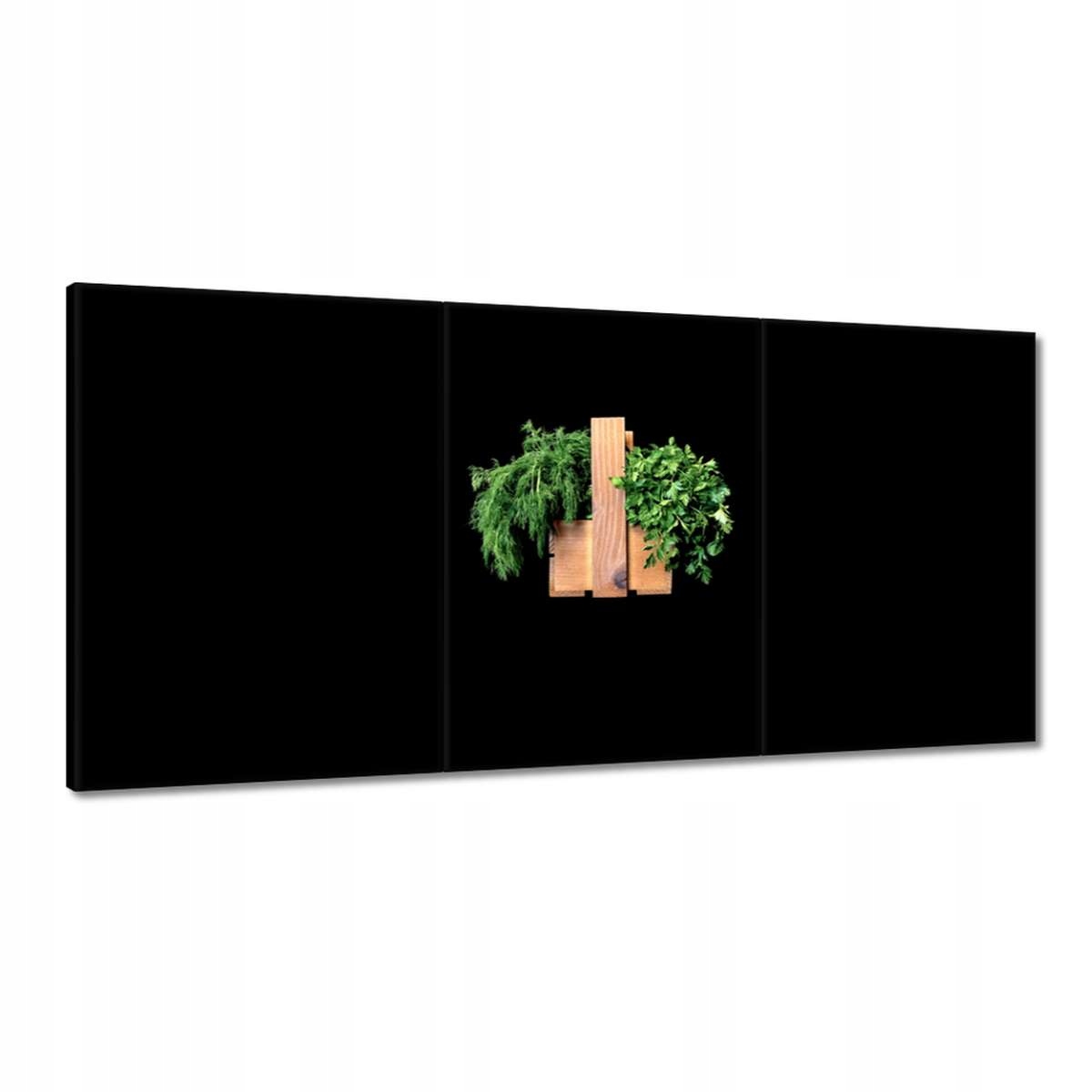 Obrazy 180x90 Petržlen Kôpor bylinky